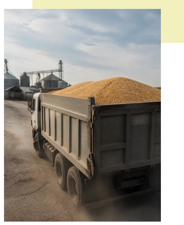 Перевозка сельхозпродукции навалом в Канаш по цене от 3082 р. | Агросервис-Кна