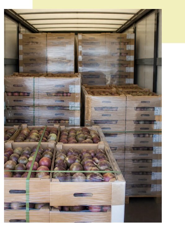 Перевозка маракуйи автотранспортом в Канаш по цене от 5136 р. | Агросервис-Кна